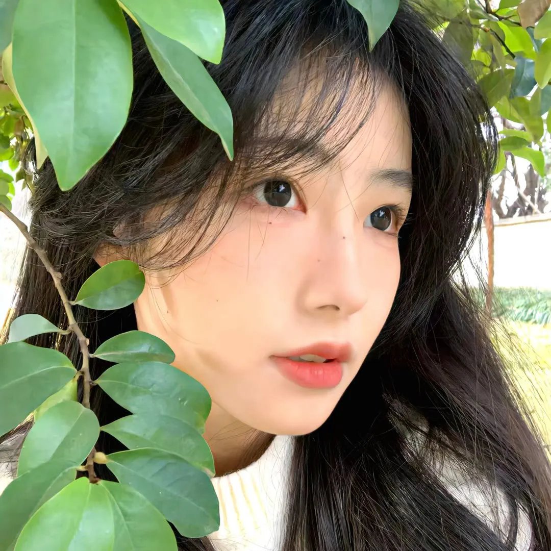 欲望解析